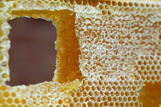 Usi e proprietà della cera d'api: dagli antichi ai giorni nostri -  Artigiano in fiera