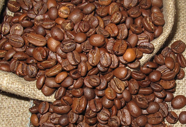caffè arabica