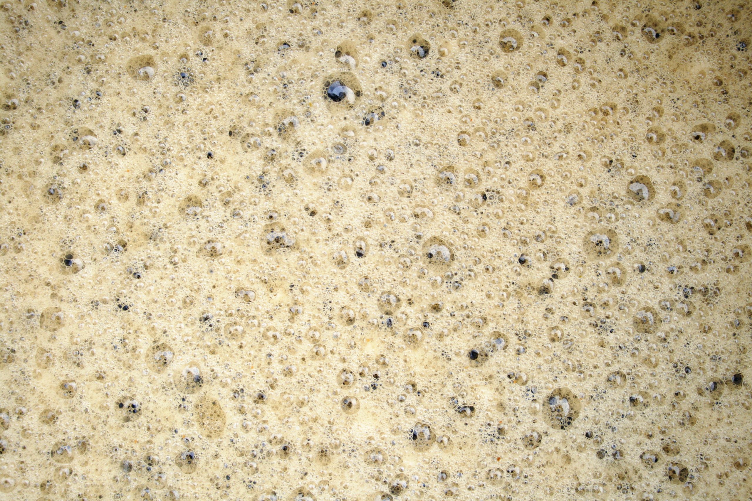 fermentazione della birra