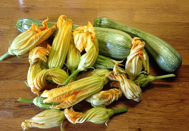 fiori di zucca