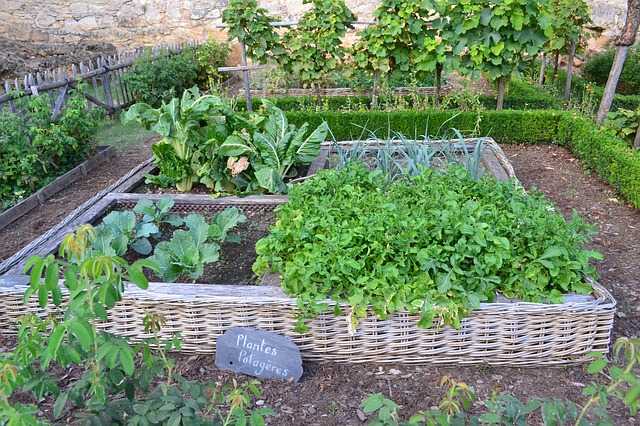 lavori in giardino