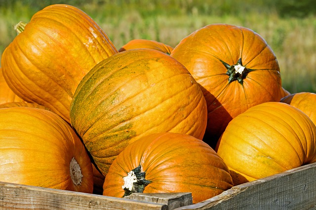 plumcake zucca