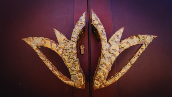 Il giglio è il simnbolo scelto da Tenuta Liliana per rappresentare il suo progetto in Salento